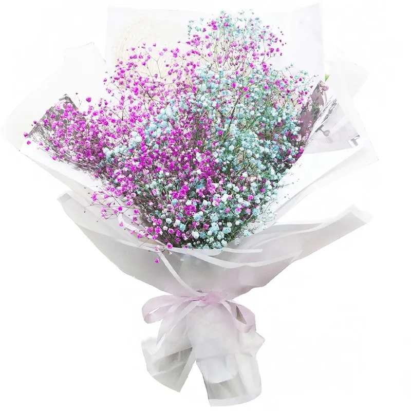 Гипсофилы розово-голубой микс