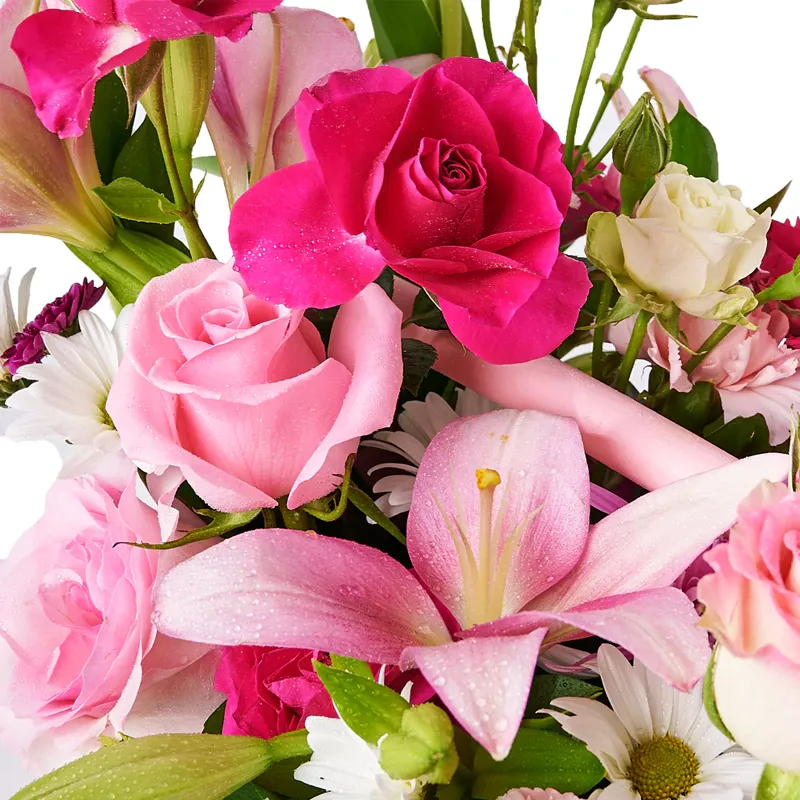 Композиция Жаркие страны